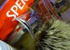 sotd_08feb2k7.jpg
