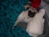 100_0441_1.jpg