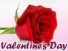 valentines day.jpg