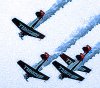aeroshell.jpg