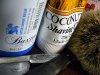 sotd_19nov2k7.JPG