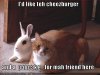 catorders.jpg