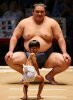 sumo_mismatch-1.jpg