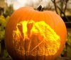 gattopumpkin.jpg