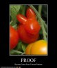tomato-shaped-like-bunny.jpg