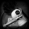 SOTD 4-18-16.JPG