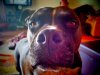 IMG_20160417_182728.jpg