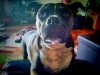 IMG_20160417_182600.jpg