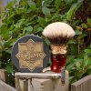 SOTD Apr 23 2016.jpg