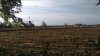 2016-04-30 molen.jpg