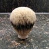 Tims-silvertip1.JPG