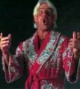 Ric Flair.jpg