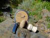 SOTD May--2016.jpg