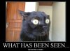cant be unseen.jpg