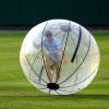 hamsterball.jpg