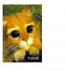 upload_2016-5-17_21-20-22.jpeg