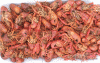 mudbugs.gif