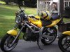 sv650.JPG