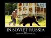 bearr.png