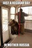 bear on bus.jpg