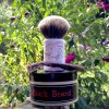 SOTD May 30 2016.jpg