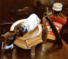 SOTD 01312016.gif