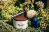 SOTD Jun 8 2016_2.jpg
