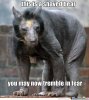 bearrrry sotd.jpg