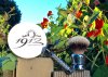 SOTD Jun 16 2016_2fix.jpg