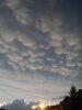 Mammary Cloud.jpg