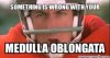 medulla oblongata.jpg