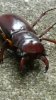 20160704_101015.jpg