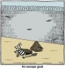 escapegoat.jpg