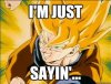 im just sayin.jpg