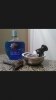 Screenshot_2016-08-01-09-02-01.png