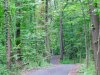 Pathway.jpg