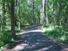 Pathway 8:1:2016.jpg