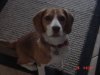 nina pictures 026.jpg