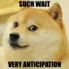 such wait very anticipation.jpg
