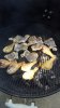 20160820_150856.jpg