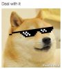 Doge with it.jpg