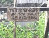 awning.jpg