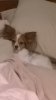 WP_20160223_001.jpg
