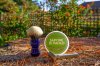 SOTD Sep 3 32016_2.jpg
