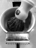 SOTD 9-10-16.JPG