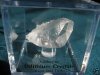dilithium crystals.jpg