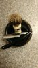 20160914_104248_resized.jpg