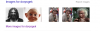 dorp.png