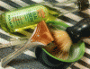 SOTD 10032016 b.gif