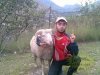 russian and his sheep.jpg